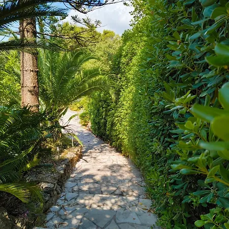 Quiet Private Garden With Pool 公寓 昂蒂布