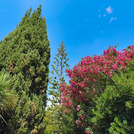 דירה Quiet Private Garden With Pool