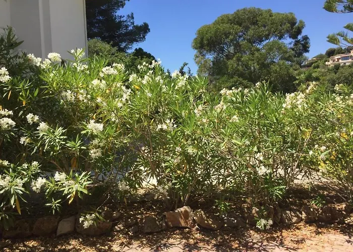 Apartment Quiet Private Garden With Pool Antibes